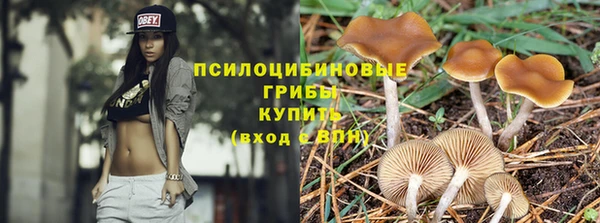 МДПВ Балабаново